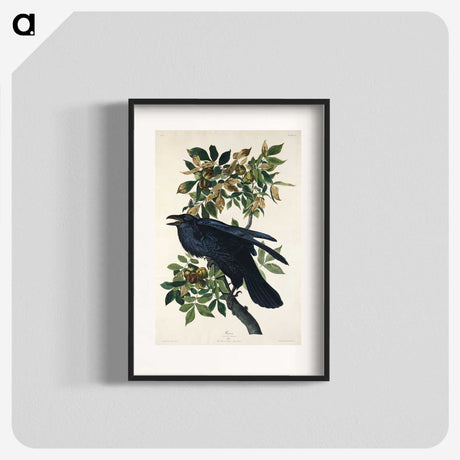 1-67_John-James-Audubon_blk