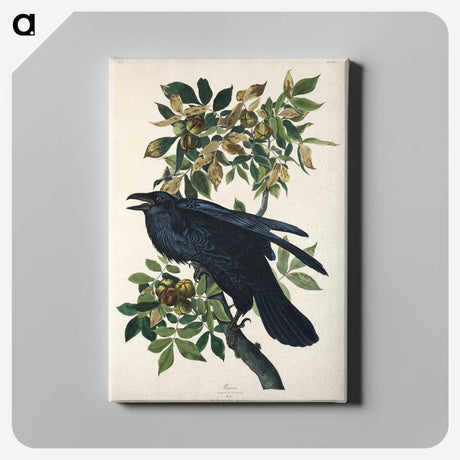 1-67_John-James-Audubon_canvas