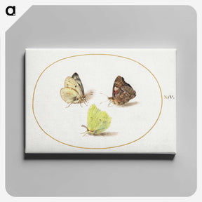 1-67_Joris-Hoefnagel_canvas