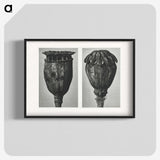 1-67_Karl-Blossfeldt_blk