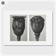 1-67_Karl-Blossfeldt_picture