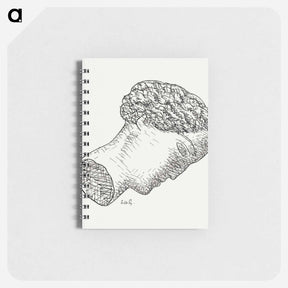 アートメモ帳-Woman - レオ ヘステル Memo.