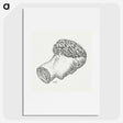 1-67_Leo-Gestel_picture