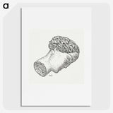 1-67_Leo-Gestel_picture