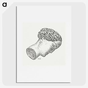 1-67_Leo-Gestel_picture