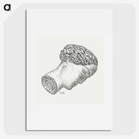 1-67_Leo-Gestel_picture