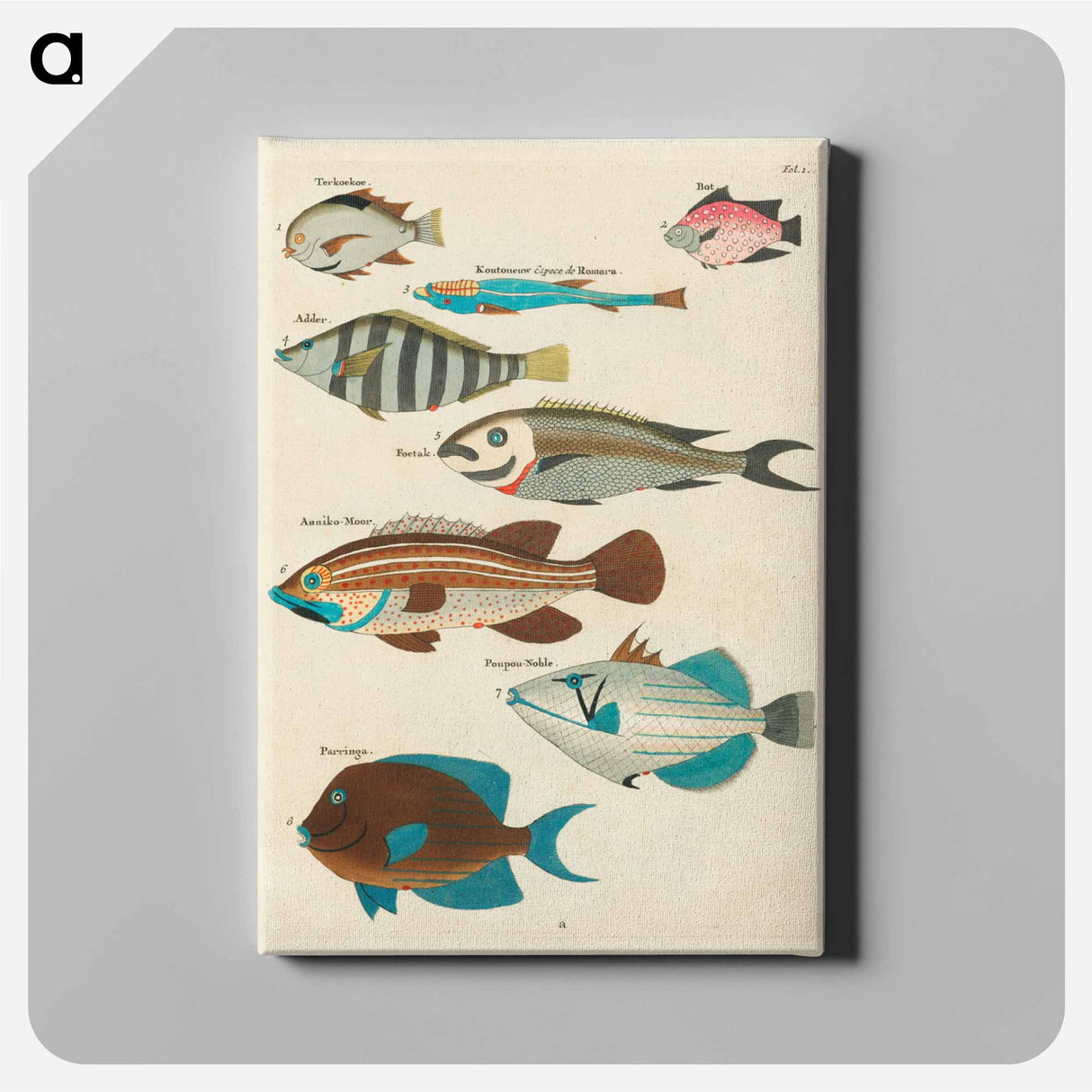 アートパネル-Moluccan Fishes
 - ルイ ルナール Canvas.