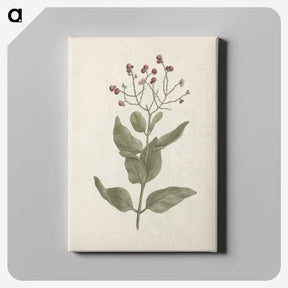 1-67_Luigi-Balugani_canvas