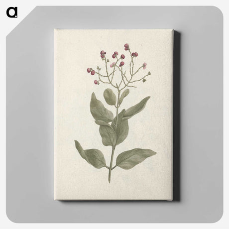 1-67_Luigi-Balugani_canvas