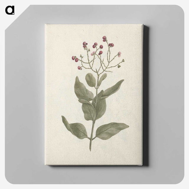 1-67_Luigi-Balugani_canvas