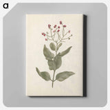 アートパネル-Ehretia cymosa Thonning
 - ルイージ バルガーニ Canvas.