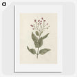 1-67_Luigi-Balugani_picture