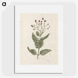 1-67_Luigi-Balugani_picture
