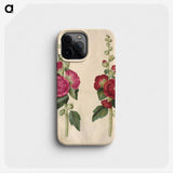 1-67_Maria-Sibylla-Merian_phone