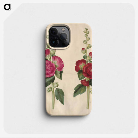 1-67_Maria-Sibylla-Merian_phone