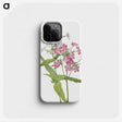 1-67_Mary-Vaux-Walcott_phone