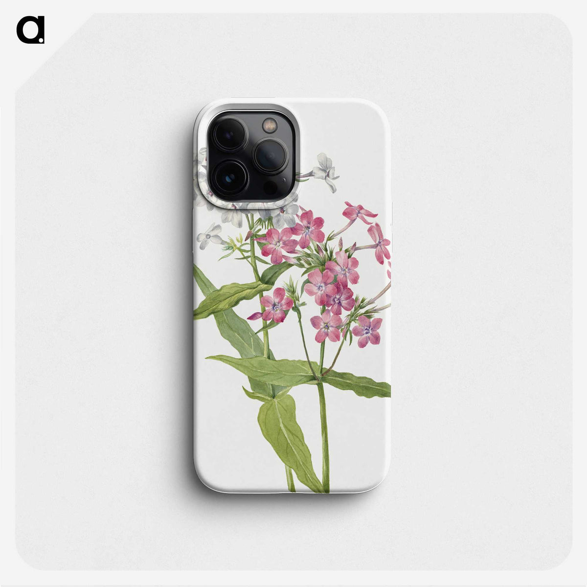 1-67_Mary-Vaux-Walcott_phone