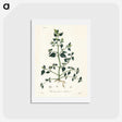 1-67_Medical-Botany_hagaki