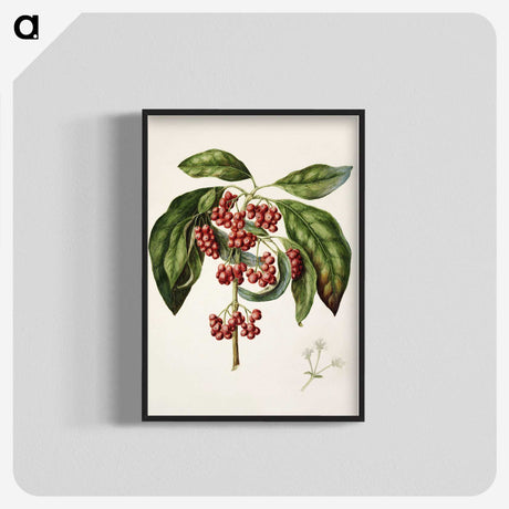 1-67_Native-Flowering-Plants-of-New-Zealand_blk-crop