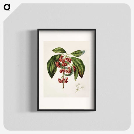 1-67_Native-Flowering-Plants-of-New-Zealand_blk