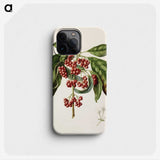 1-67_Native-Flowering-Plants-of-New-Zealand_phone