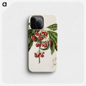 1-67_Native-Flowering-Plants-of-New-Zealand_phone
