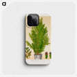 1-67_Nederlandsche-Flora-en-Pomona_phone