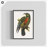 1-67_Parrots-in-Captivity_blk-crop