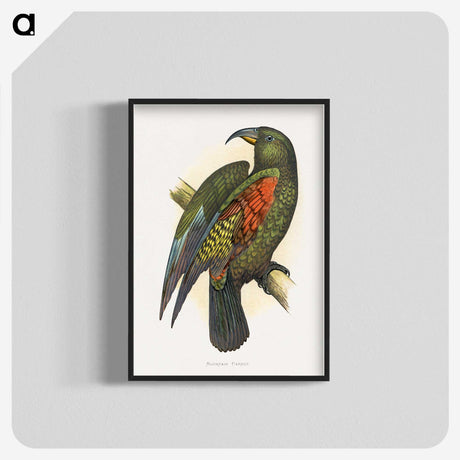 1-67_Parrots-in-Captivity_blk-crop