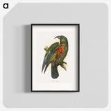 1-67_Parrots-in-Captivity_blk