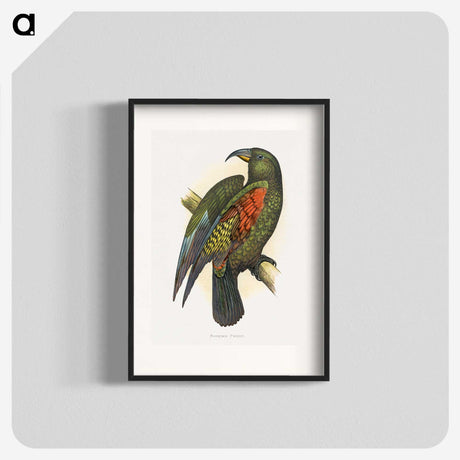 1-67_Parrots-in-Captivity_blk
