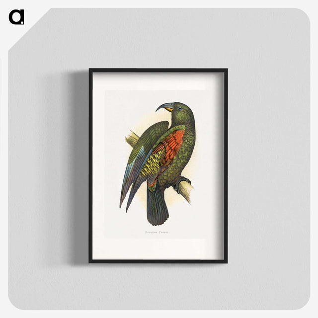 1-67_Parrots-in-Captivity_blk
