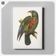 1-67_Parrots-in-Captivity_canvas