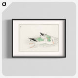 アートポスター-Gull
 - 鳥類図鑑 Poster.