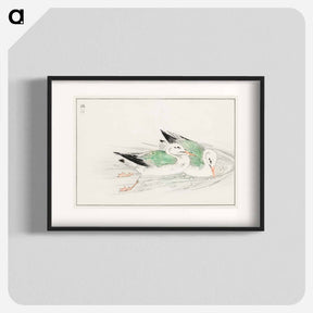 アートポスター-Gull
 - 鳥類図鑑 Poster.
