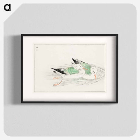 アートポスター-Gull
 - 鳥類図鑑 Poster.