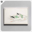アートパネル-Gull
 - 鳥類図鑑 Canvas.