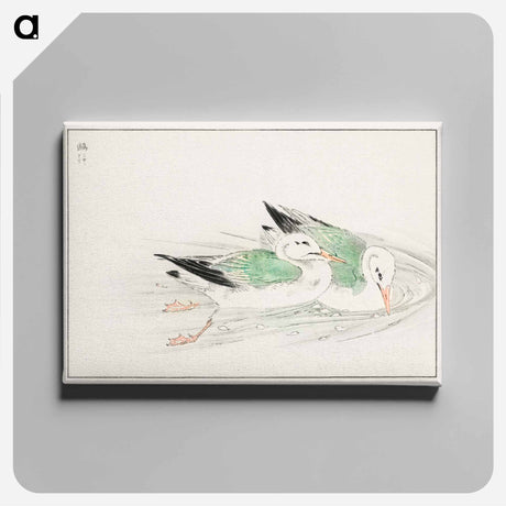 アートパネル-Gull
 - 鳥類図鑑 Canvas.