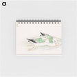 アートメモ帳-Gull
 - 鳥類図鑑 Memo.