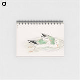アートメモ帳-Gull
 - 鳥類図鑑 Memo.