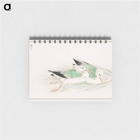 アートメモ帳-Gull
 - 鳥類図鑑 Memo.