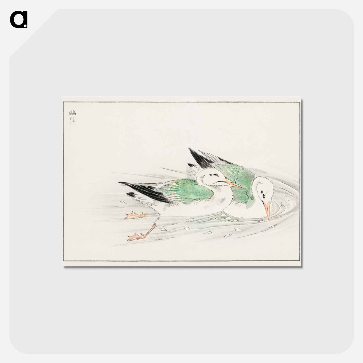 アートポストカード-Gull
 - 鳥類図鑑 Postcard.