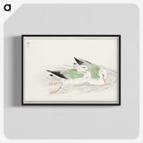 1-67_Pictorial-Monograph-of-Birds_blk-crop