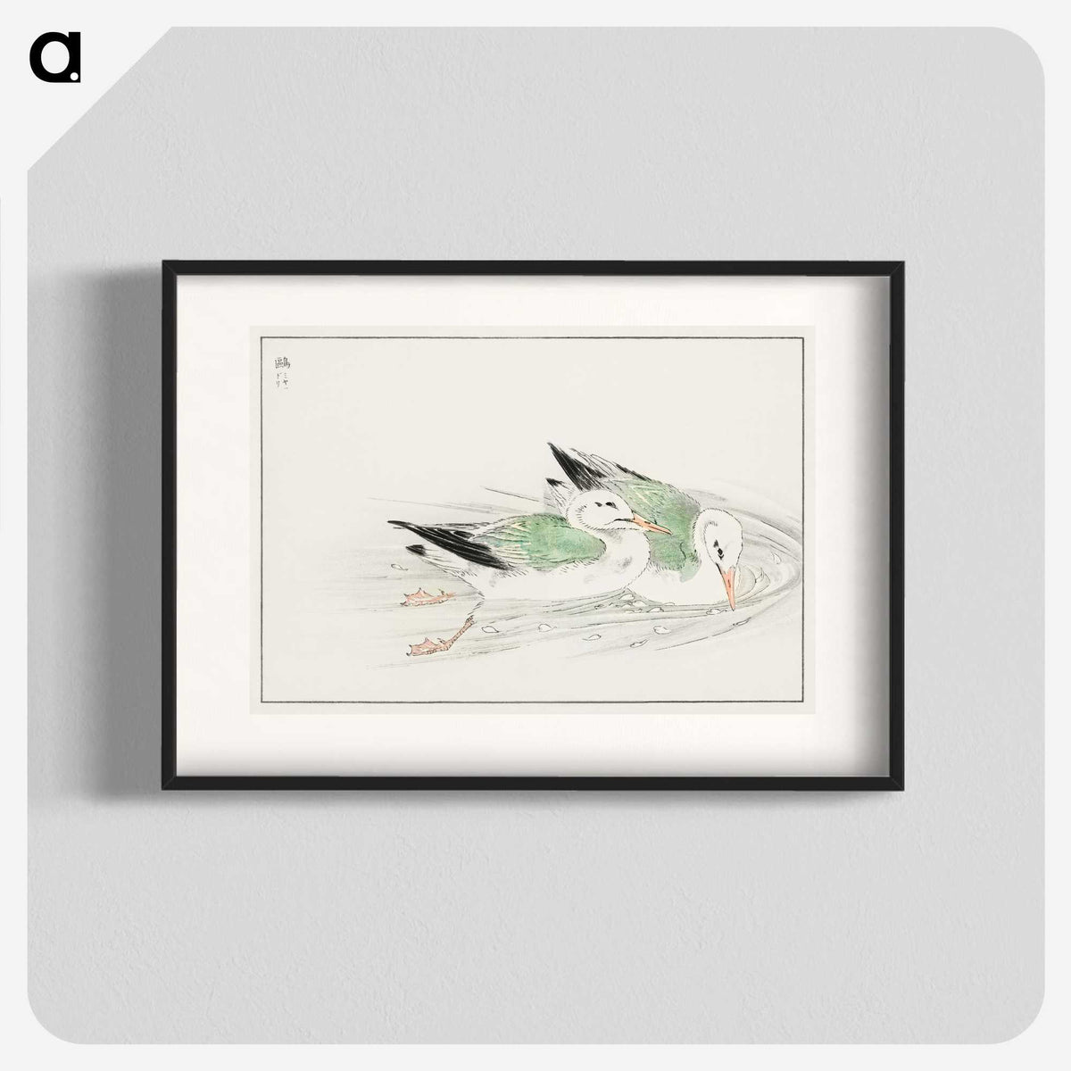 1-67_Pictorial-Monograph-of-Birds_blk