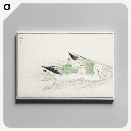 1-67_Pictorial-Monograph-of-Birds_canvas