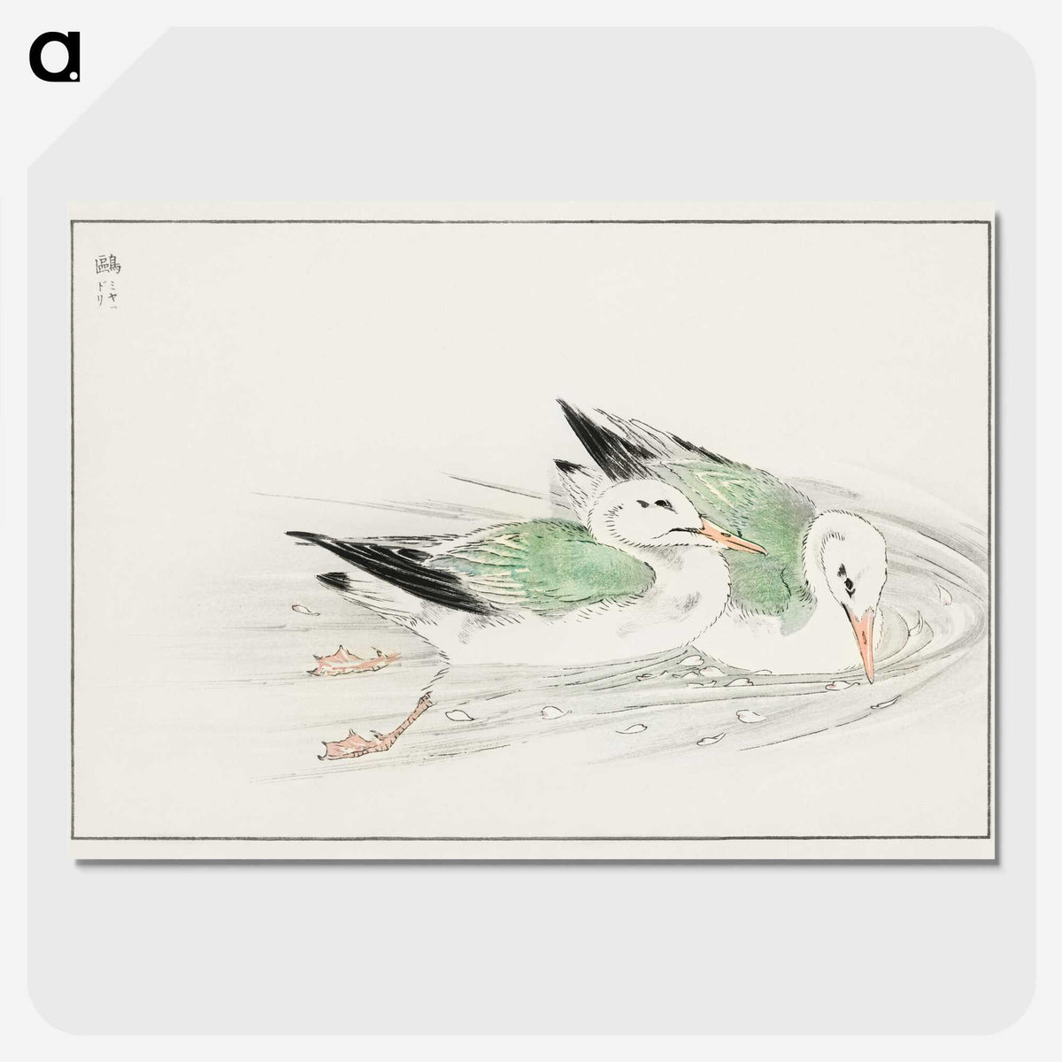 1-67_Pictorial-Monograph-of-Birds_picture-crop