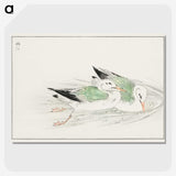 1-67_Pictorial-Monograph-of-Birds_picture-crop