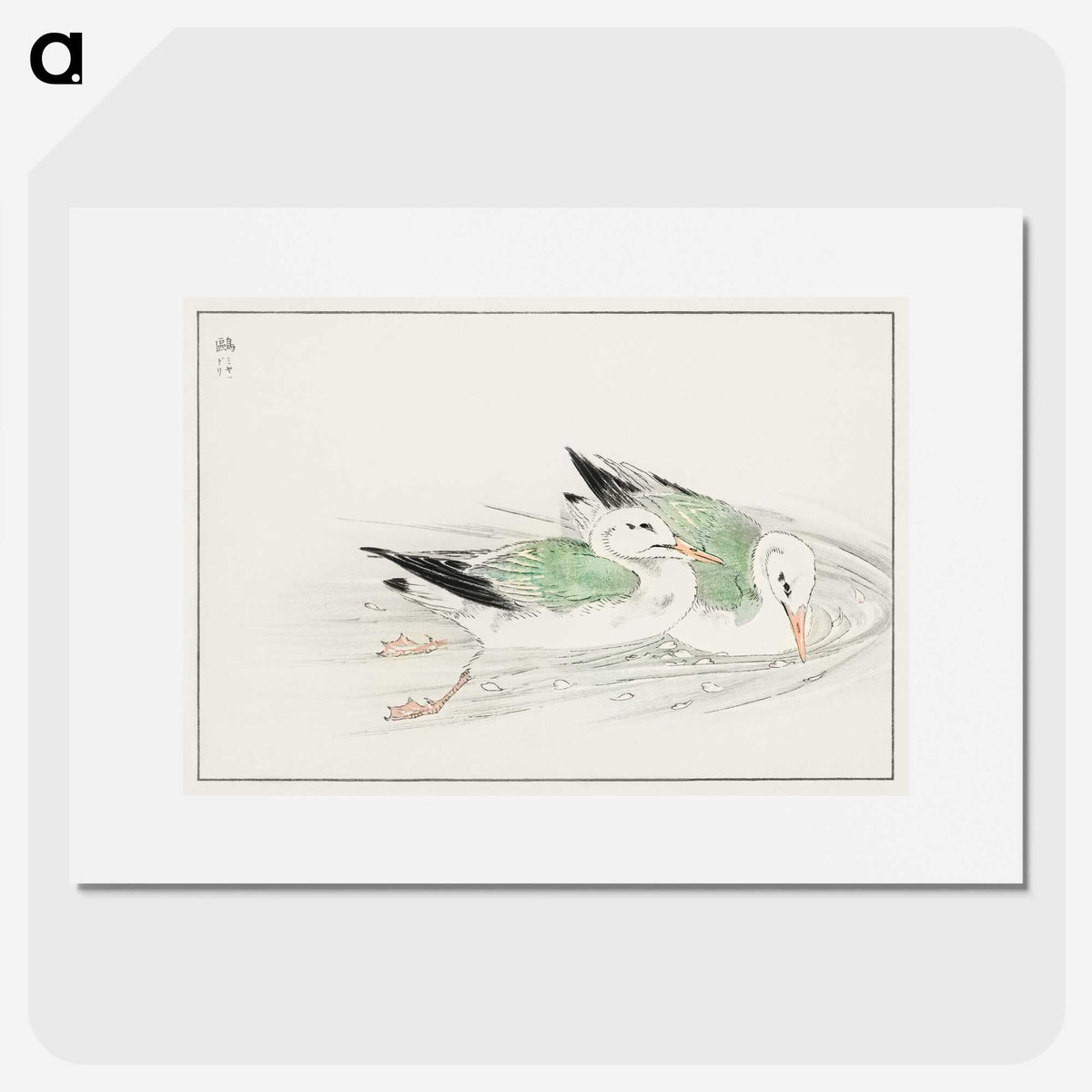 1-67_Pictorial-Monograph-of-Birds_picture