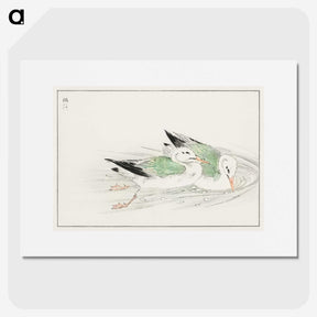 1-67_Pictorial-Monograph-of-Birds_picture