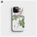 1-67_Pierre-Joseph-Redoute_phone